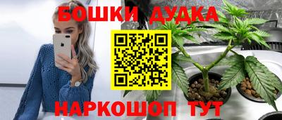jwh Камышлов