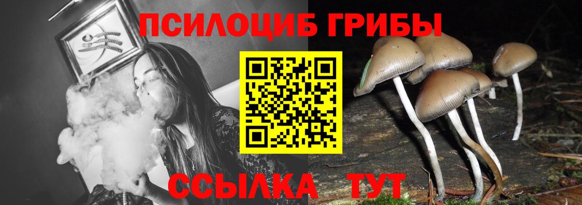 Галлюциногенные грибы GOLDEN TEACHER  Вход с VPN  Галлюциногенные грибы Psilocybine cubensis  Краснознаменск 