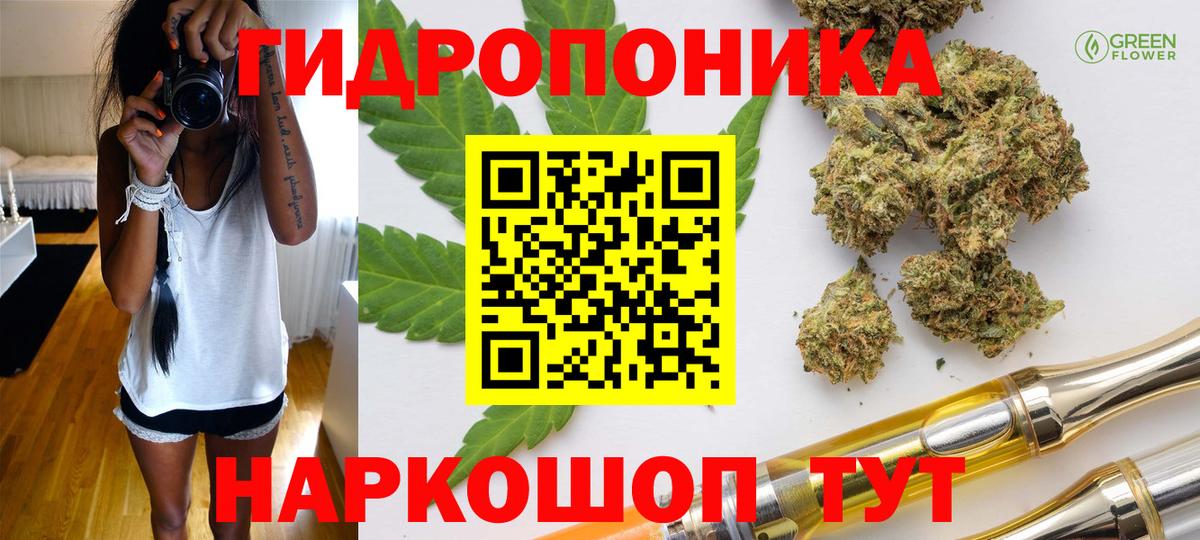 Канабис Ganja Краснознаменск